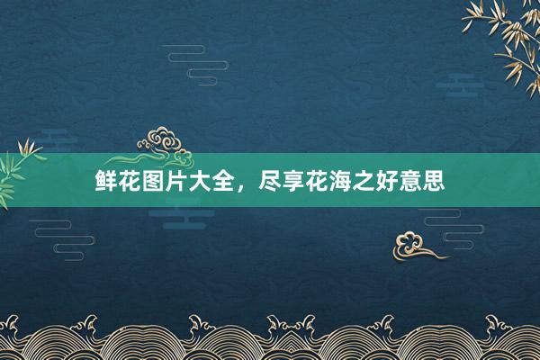 鲜花图片大全，尽享花海之好意思